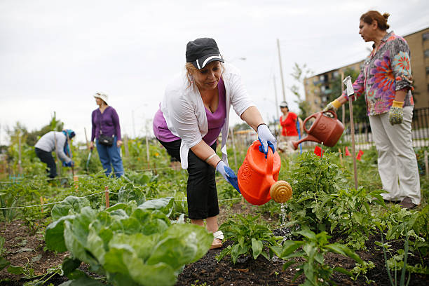 Neighbourhood News with Magnolia Group Realty: Elmira